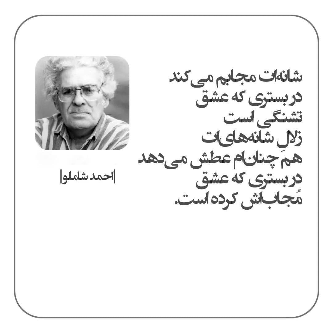 شعر سپید چیست؟ ویژگی های این اشعار، تفاوت با شعر نو و نمونه شعر 5 نمونه شعر سپید