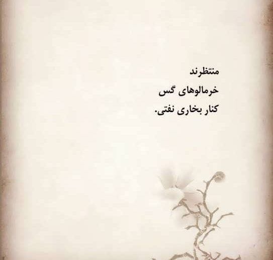 شعر سپید چیست؟ ویژگی های این اشعار، تفاوت با شعر نو و نمونه شعر 4 نمونه شعر سپید