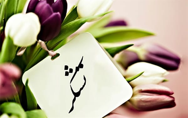 متن تشکر از وکیل دادگستری / جملات ادبی و صمیمانه تشکر از وکیل پرونده 1 متن تشکر از وکیل دادگستری / جملات ادبی و صمیمانه تشکر از وکیل پرونده