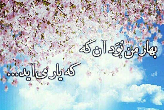 اشعار نو و زیبا درباره بهار