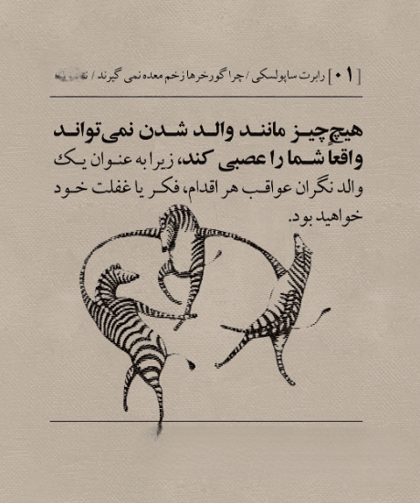 جملاتی از کتاب چرا گورخرها زخم معده نمی‌گیرند