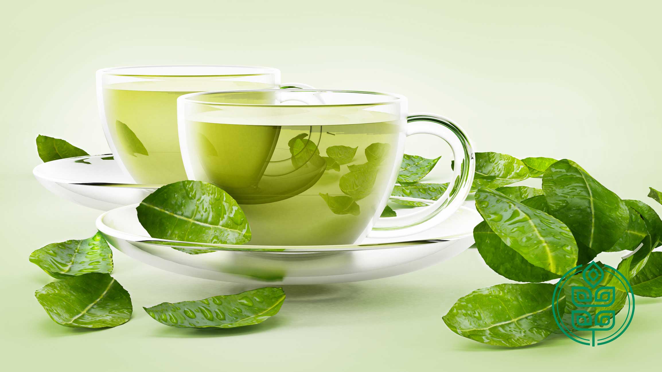 خواص چای تف برای لاغری؛ فواید شگفت انگیز برای دیابت، فشار خون و گوارش