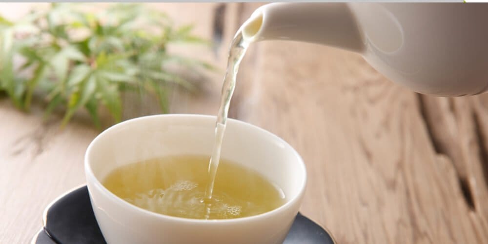 خواص چای تف برای لاغری؛ فواید شگفت انگیز برای دیابت، فشار خون و گوارش