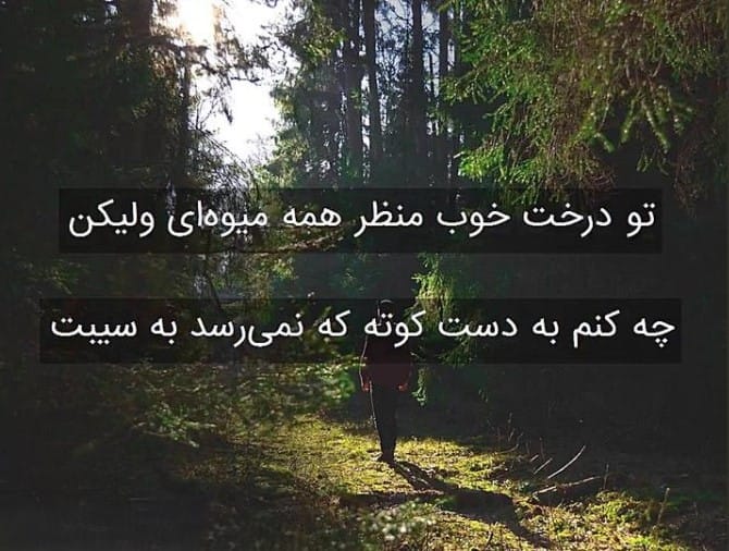 غزل شماره ۲۹ از غزلیات سعدی؛ متناسبند و موزون حرکات دلفریبت 2 تفسیر این شعر