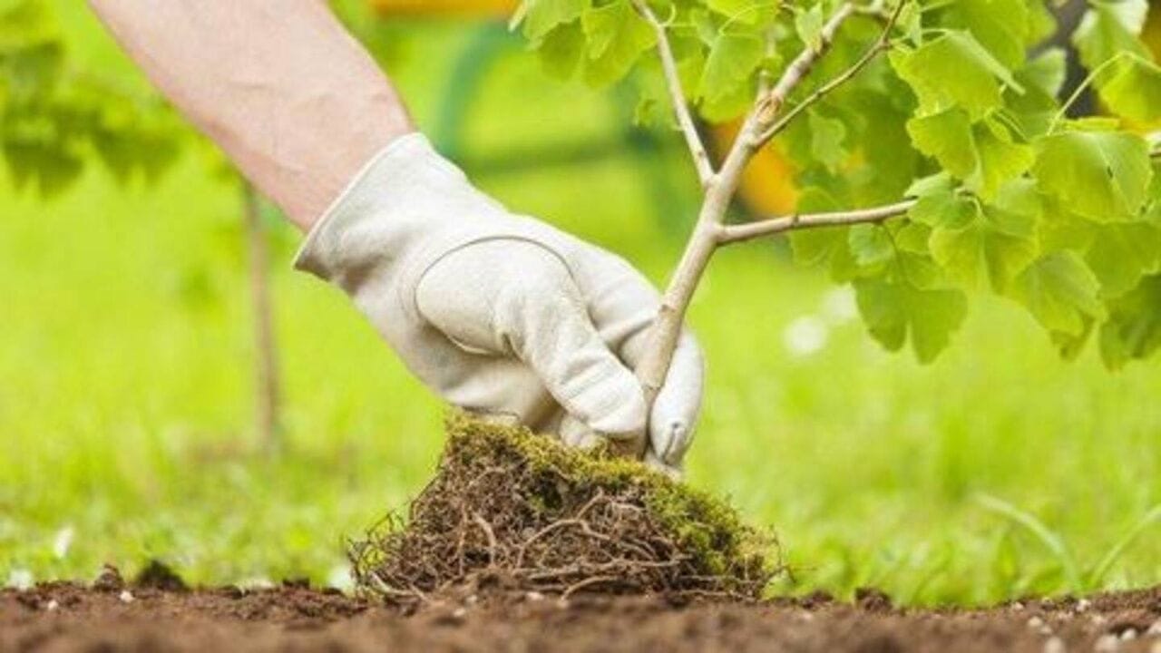 روش‌های حفاظت محیط زیست