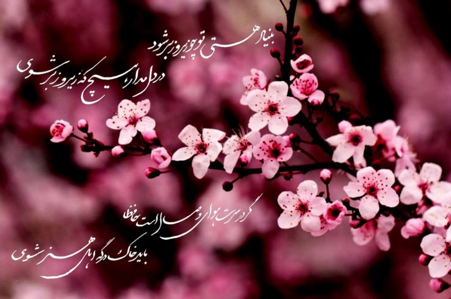 شعر غمگین بهار؛ مجموعه احساسی اشعار بهاری عاشقانه زیبا 4 شعر غمگین و عاشقانه بهار