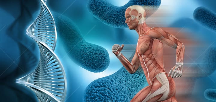 تمرین ورزشی تناوبی تنشی (HIIT) چیست؟ نحوه انجام و فواید بی نظیر برای سلامت 4 تمرین ورزشی تناوبی تنشی (HIIT) چیست؟ نحوه انجام و فواید بی نظیر برای سلامت