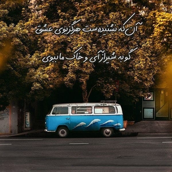 شعر کوتاه در مورد شیراز (۲۰ اشعار دلنشین درباره شیراز زیبا) 2 اشعار کوتاه درباره شیراز