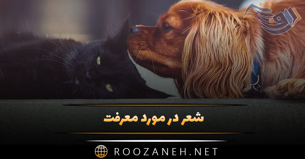 شعر در مورد معرفت؛ اشعار سنگین درباره ادب، مرام و معرفت 1 شعر در مورد معرفت؛ اشعار سنگین درباره ادب، مرام و معرفت