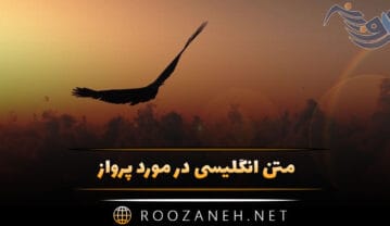 متن انگلیسی در مورد پرواز