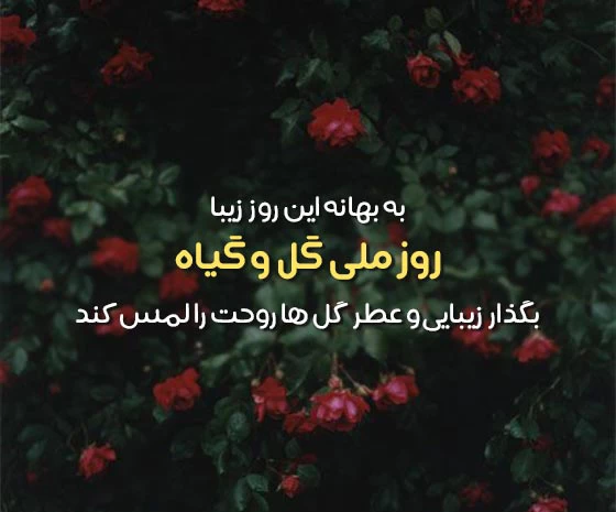 روز ملی گل و گیاه 25 خرداد؛ اهمیت این روز و پیامک تبریک 3 متن تبریک روز ملی گل و گیاه