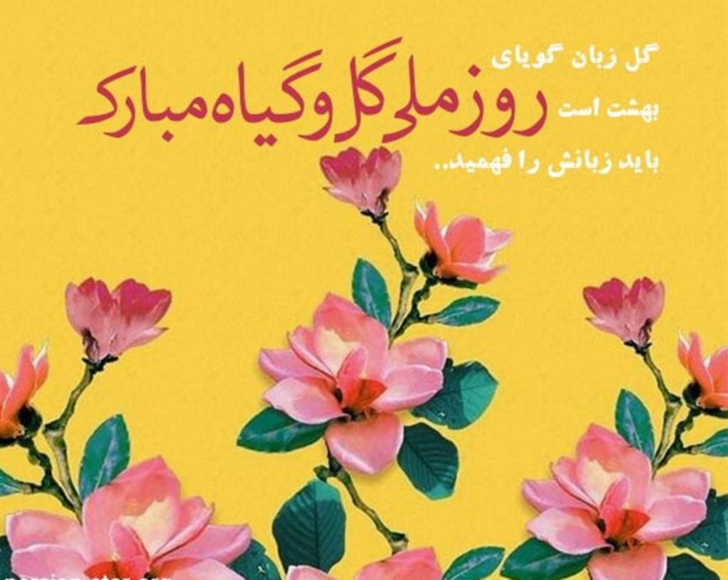 روز ملی گل و گیاه 25 خرداد؛ اهمیت این روز و پیامک تبریک 2 متن تبریک روز ملی گل و گیاه