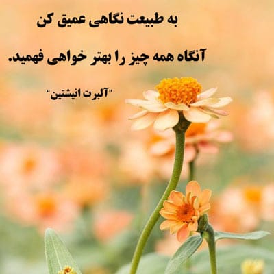 شعر نو و طبیعت