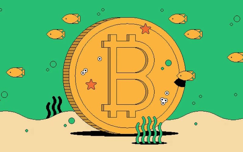 بهترین روش های کسب درآمد از بازار ارز دیجیتال - آپدیت جدید 1 بهترین روش های کسب درآمد از بازار ارز دیجیتال - آپدیت جدید