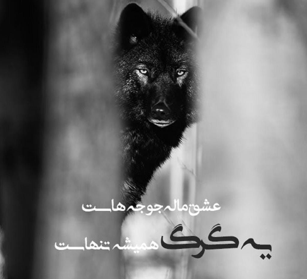 بیو انگلیسی لاکچری