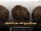 بیو برای پیج بافت مو و شینیون