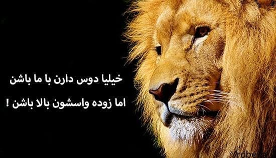 بیوگرافی خاص و لاکچری انگلیسی