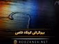 بیوگرافی کوتاه خاص