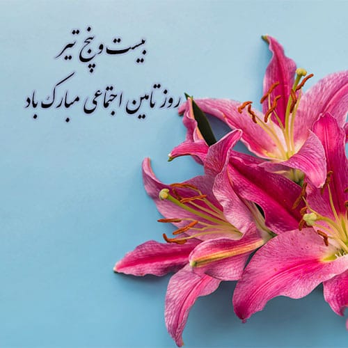 پیام تبریک روز تامین اجتماعی