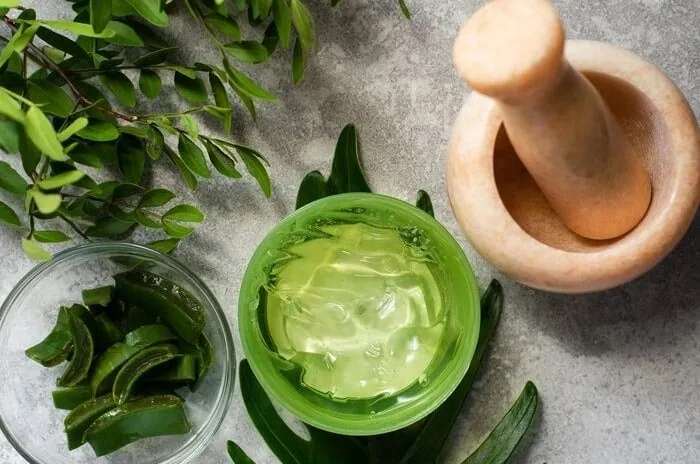 دهانشویه طبیعی و نحوه استفاده صحیح آن (انواع دهانشویه و روش تهیه) 6 دهانشویه طبیعی و نحوه استفاده صحیح آن (انواع دهانشویه و روش تهیه)