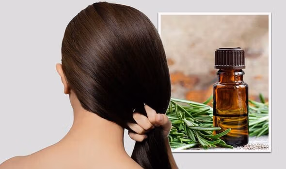 طرز تهیه اسپری رزماری برای مو در خانه؛ نحوه استفاده و فواید برای مو 3 طرز تهیه اسپری رزماری برای مو در خانه؛ نحوه استفاده و فواید برای مو