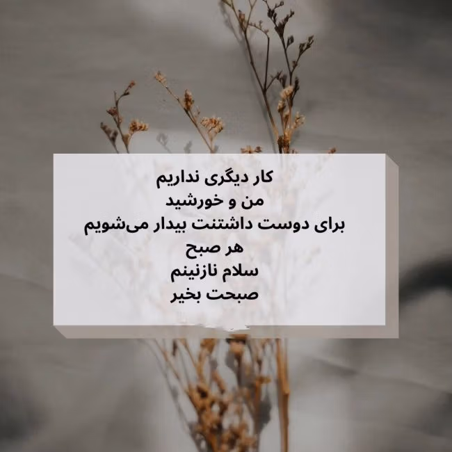 متن های عاشقانه و زیبای صبح زیبا