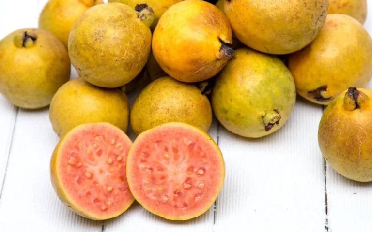 میوه گواوا چیست؟ بررسی طعم، انواع این میوه استوایی و فواید آن