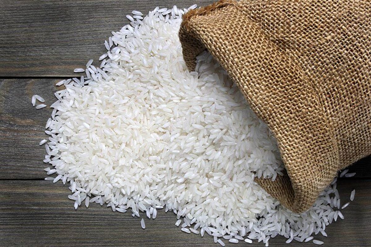 راهنمای خرید برنج ایرانی؛ بهترین زمان خرید و معرفی انواع برنج معروف 3 راهنمای خرید برنج ایرانی؛ بهترین زمان خرید و معرفی انواع برنج معروف
