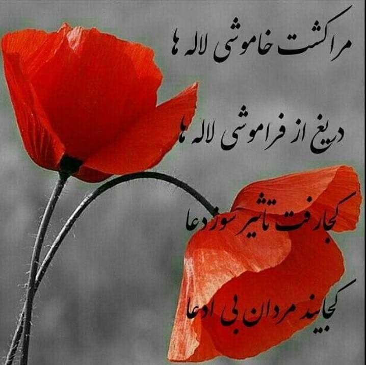 اشعار زیبای دفاع مقدس