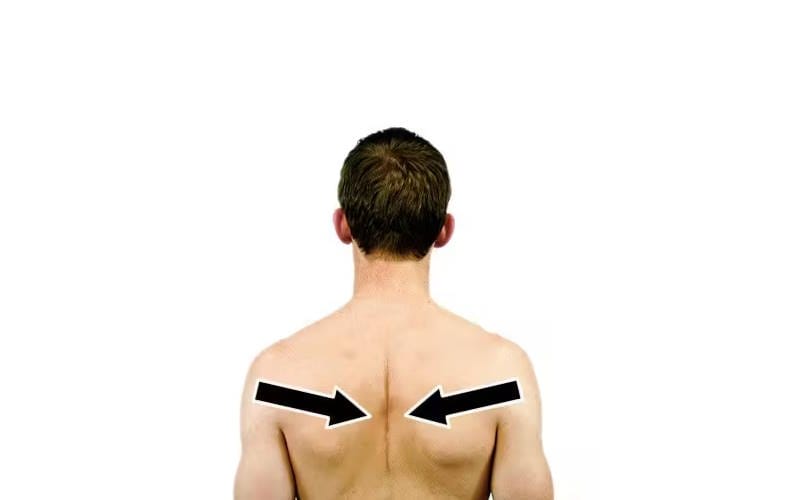 بهترین ورزش ها برای درمان گردن درد و شانه در منزل 7 تمرین تیلت شانه (Shoulder Blade Squeeze)