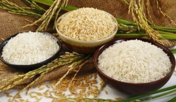 راهنمای خرید برنج ایرانی؛ بهترین زمان خرید و معرفی انواع برنج معروف برنج ایرانی