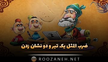 ضرب المثل یک تیر و دو نشان زدن