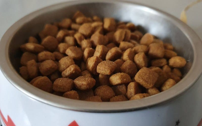 نکات مهم در مورد انتخاب غذای خشک گربه (مواد تشکیل دهنده، مزایا و معایب) 2 مزایا و معایب غذای خشک گربه