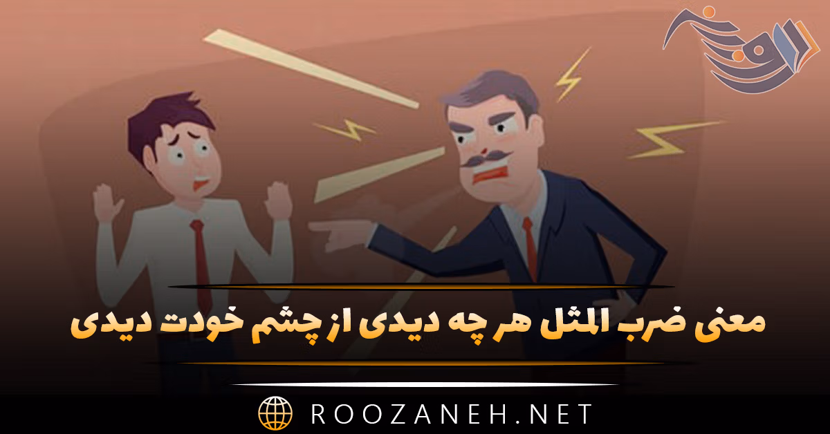 معنی ضرب المثل هر چه دیدی از چشم خودت دیدی