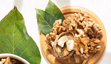 نکات مهم برای نگهداری مغز گردو در خانه؛ چطور بفهمیم مغز گردو سالم است؟ نگهداری مغز گردو در خانه