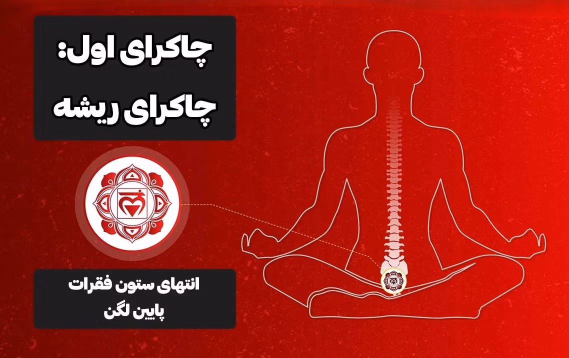 معرفی چاکرا های بدن (معرفی هفت چاکرا با ویژگی ها و روش فعال کردن انرژی کندالینی) 2 چاکرای اول، چاکرای ریشه