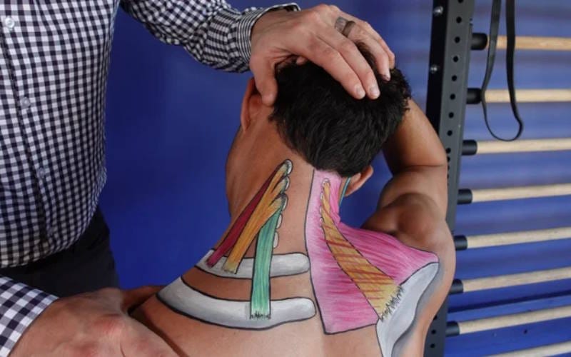 بهترین ورزش ها برای درمان گردن درد و شانه در منزل 6 کشش عضلات اسکالن (Scalene Stretch)