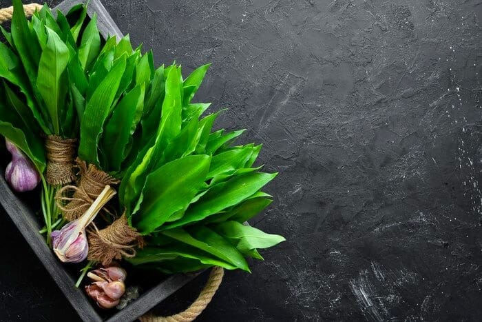 والک یا سیر کوهی؛ ارزش غذایی، طبع و خواص شگفت انگیز آن