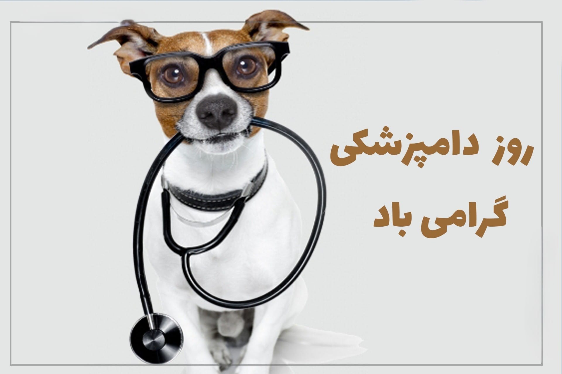 عکس نوشته روز دامپزشک برای استوری و وضعیت واتساپ 11 عکس نوشته روز دامپزشک برای استوری و وضعیت واتساپ