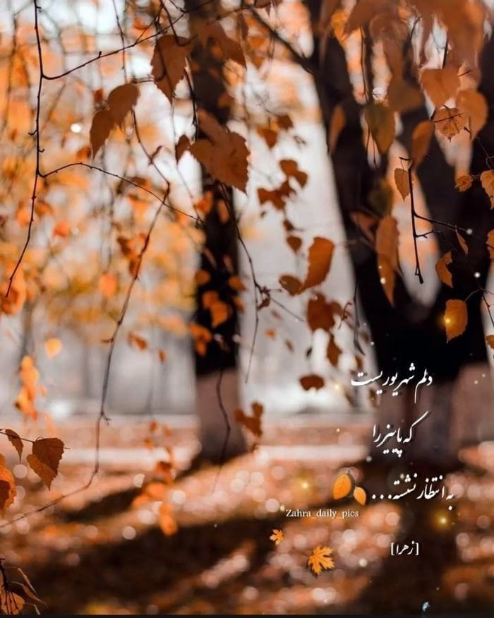 عکس نوشته غمگین پاییز به همراه شعر و متن های غمگین پاییزی 5 عکس نوشته غمگین پاییز