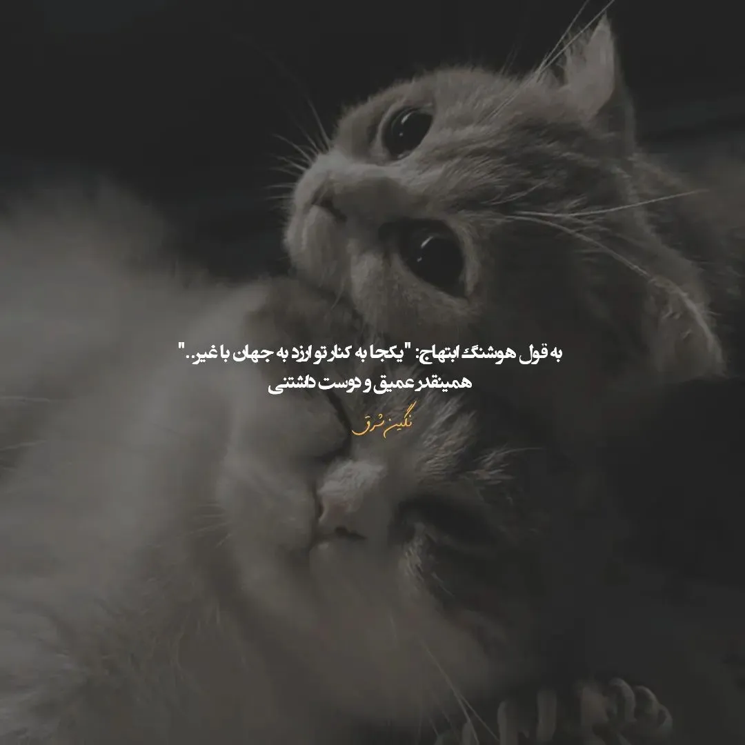 عکس نوشته اشعار هوشنگ ابتهاج به همراه اشعار منتخب سایه 18 عکس نوشته اشعار هوشنگ ابتهاج
