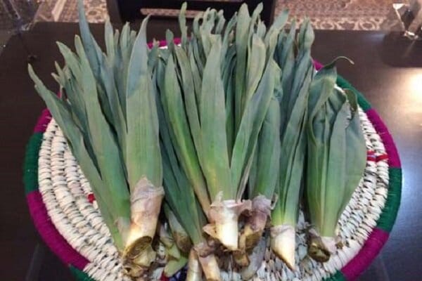 والک یا سیر کوهی؛ ارزش غذایی، طبع و خواص شگفت انگیز آن