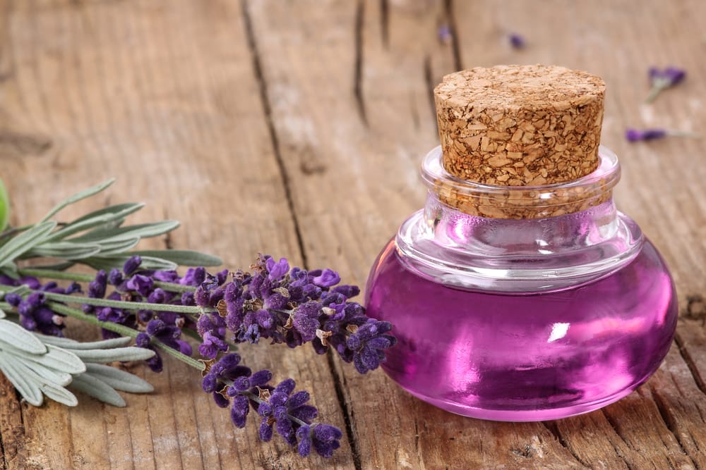 بهترین روغن های گیاهی برای سفید شدن پوست صورت (۷ روغن مفید)