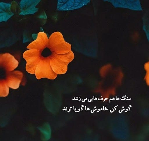 عکس نوشته اشعار فریدون مشیری + شعرهای کوتاه منتخب و زیبا 12 عکس نوشته اشعار فریدون مشیری