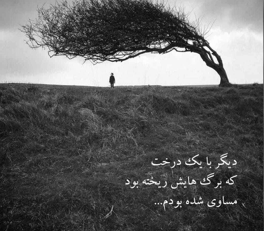 عکس نوشته اشعار احمدرضا احمدی