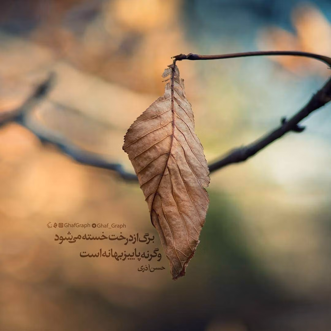 عکس نوشته غمگین پاییز