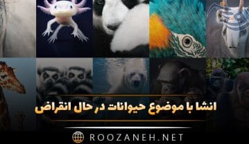 انشا با موضوع حیوانات در حال انقراض؛ ۱۰ انشا علمی کوتاه و طولانی انشا با موضوع حیوانات در حال انقراض