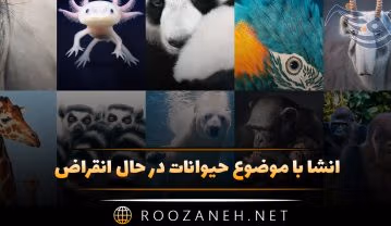 انشا با موضوع حیوانات در حال انقراض