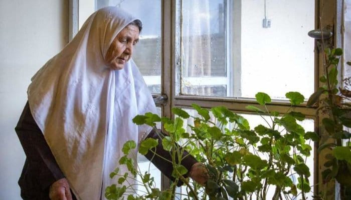 انشا درباره مادربزرگ؛ ۱۰ انشا کوتاه، بلند و ادبی مادربزرگ 4 انشا درباره صدای مادربزرگ