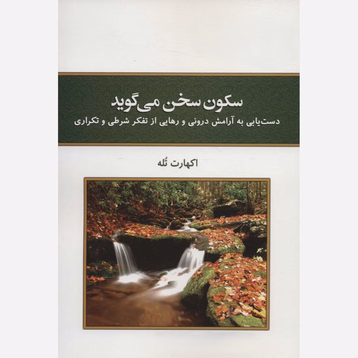 بریدههایی از "کتاب سکون سخن می گوید" اثر اکهارت تله (برای آرامش و خودشناسی) 3 بریده هایی از این کتاب